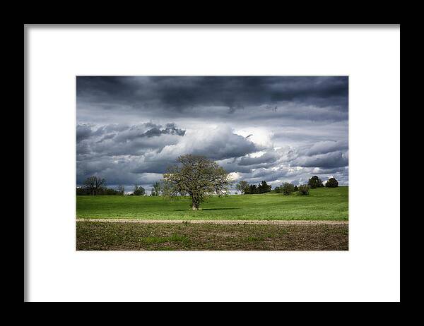 Spring Landscape Framed Print featuring the photograph Spring Greens by Dan Hefle