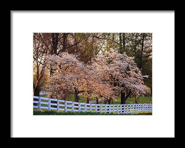 Spring Framed Print featuring the photograph Spring in the Bluegrass - FS000247 by Daniel Dempster