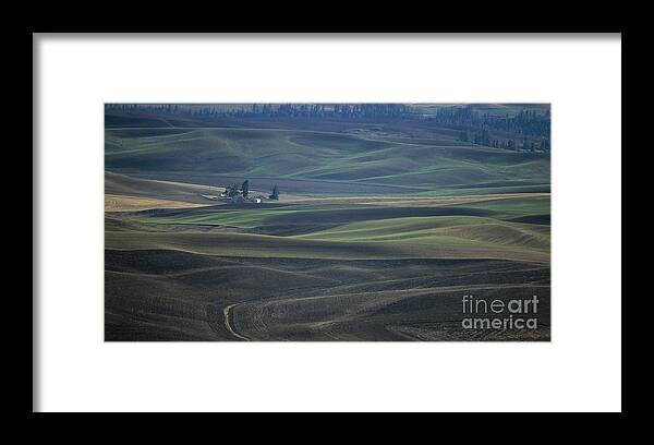 Palouse Framed Print featuring the photograph Spring in the Palouse by Sharon Elliott