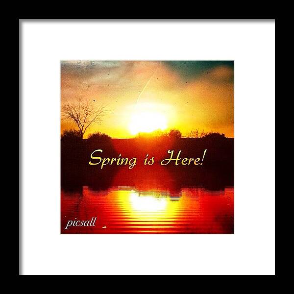 Spring Framed Print featuring the photograph Spring Is Here by Star Rodriguez