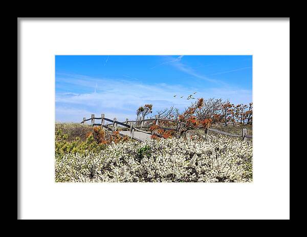 Spring On Cape Cod Framed Print featuring the photograph Spring On Cape Cod by Bill Wakeley