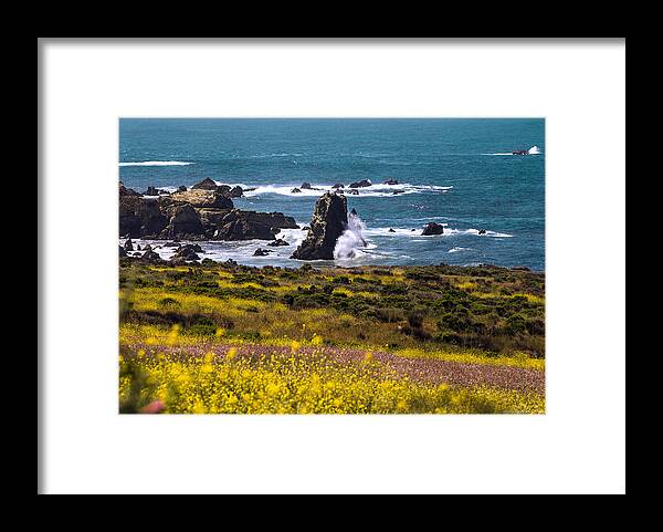 Art Framed Print featuring the photograph Spring on the California Coast By Denise Dube by Denise Dube