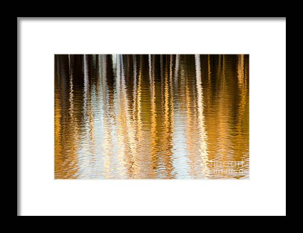 Reflections Framed Print featuring the photograph Spring Reflections by Lori Dobbs