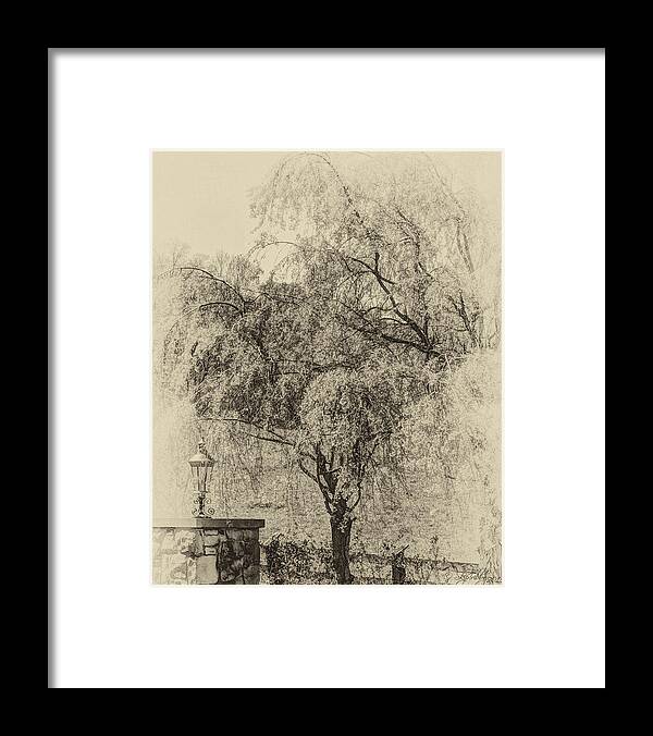 Trees Framed Print featuring the photograph Spring by Skip Tribby