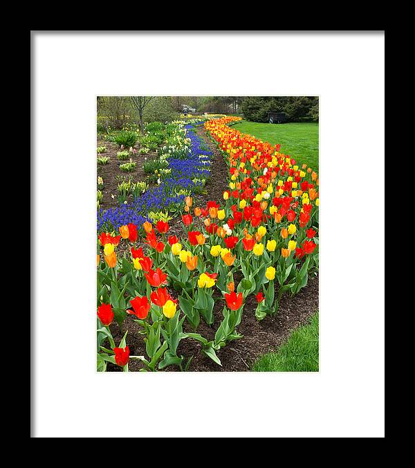 Blue Framed Print featuring the photograph Spring Streaming By by Bill Pevlor