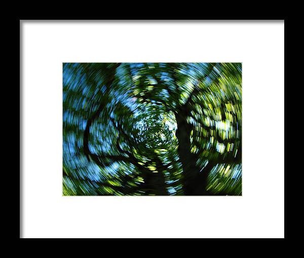 Intentional Camera Movement Framed Print featuring the photograph Spring Tree Carousel by Juergen Roth