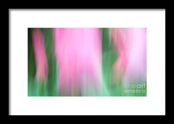 Flowers Framed Print featuring the photograph Spring Tulips Motion Blur Abstract by Edward Fielding