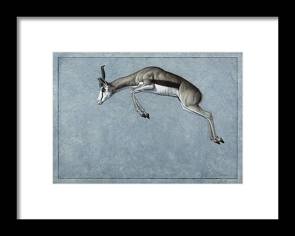 Springbok Framed Print featuring the painting Springbok by James W Johnson
