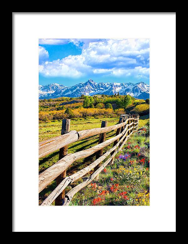 Spring Flowers Framed Print featuring the photograph Springtime in the Rockies by Rick Wicker
