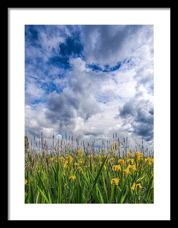 Wetlands Framed Print featuring the photograph Springtime in the Wetlands by Tommy Farnsworth