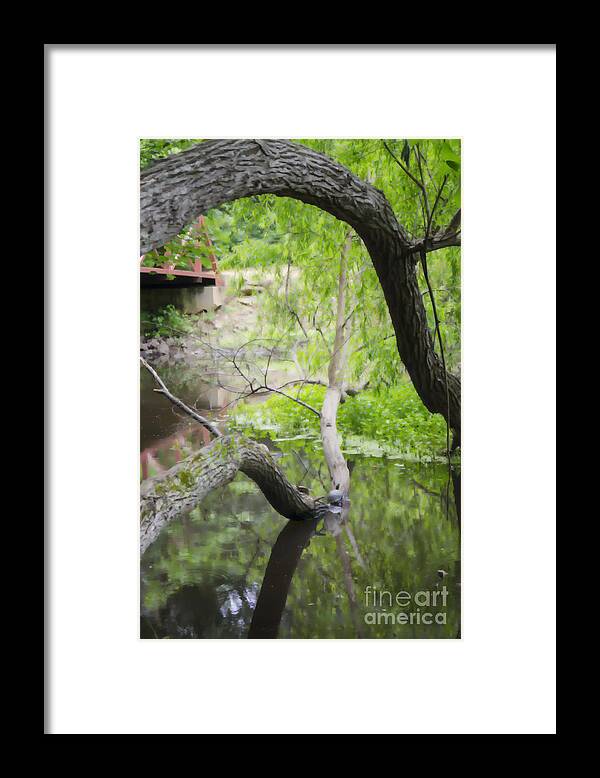 Creek Framed Print featuring the photograph Springtime Pond with Turtles Abstracted by MM Anderson