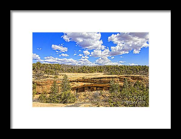 Landscape Framed Print featuring the photograph Spruce Tree House by Jason Abando
