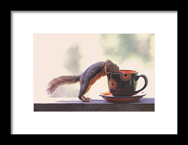 Squirrels Framed Print featuring the photograph Squirrel and Coffee by Peggy Collins