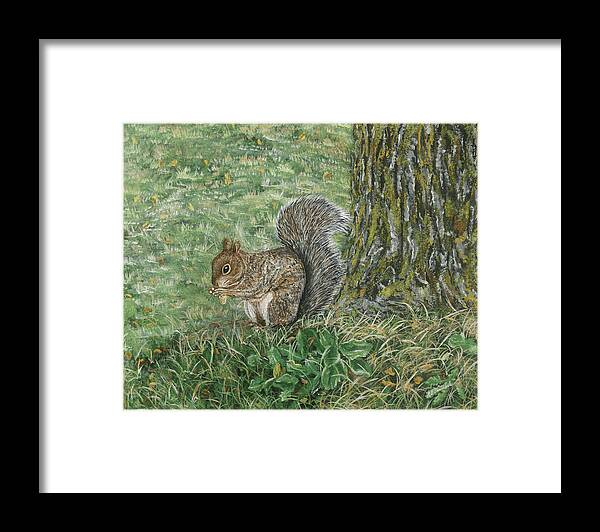 Squirrel Framed Print featuring the painting Squirrel by Lucinda VanVleck