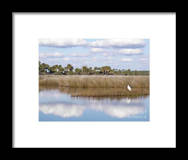 Tranquil Framed Print featuring the pyrography St. Marks Refuge by Audrey Peaty