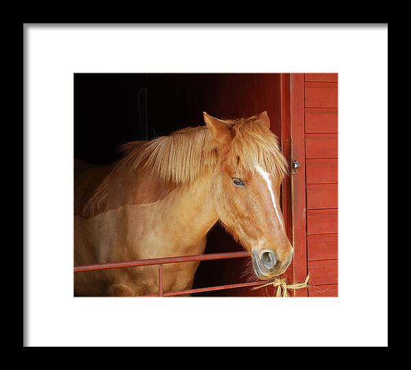 Stabled - Art Mccaffrey Framed Print featuring the photograph Stabled by Art Mccaffrey