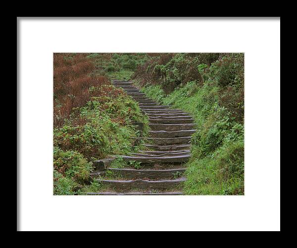 Stairway Framed Print featuring the photograph Stairway To Heaven by Derek Dean