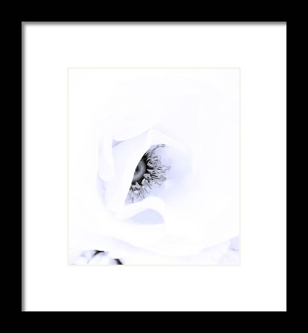 Rose Framed Print featuring the photograph Stamens in Blue by Spikey Mouse Photography
