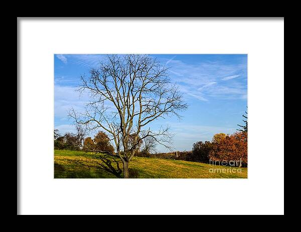 Landscape Framed Print featuring the photograph Stand Alone by Judy Wolinsky