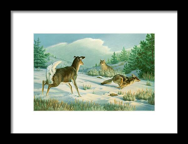 Wildlife Framed Print featuring the painting Stand-off -Whitetail doe and Coyotes by Paul Krapf