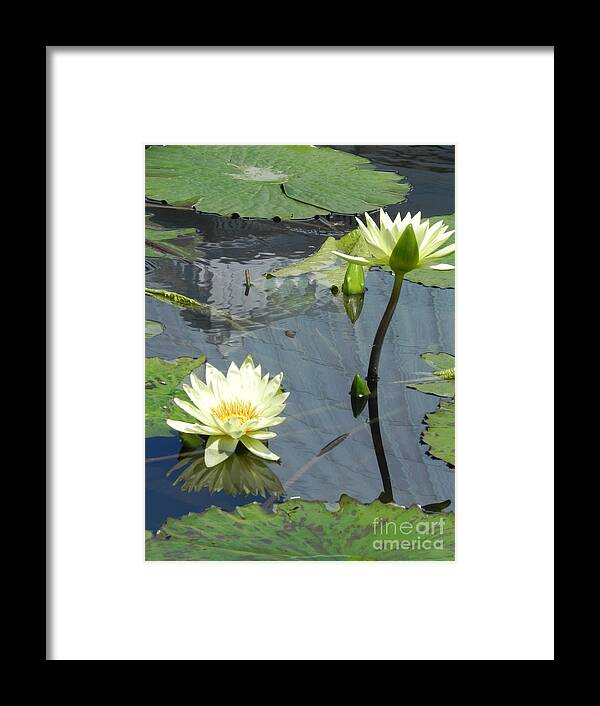 Photography Framed Print featuring the photograph Standing Tall With Beauty by Chrisann Ellis