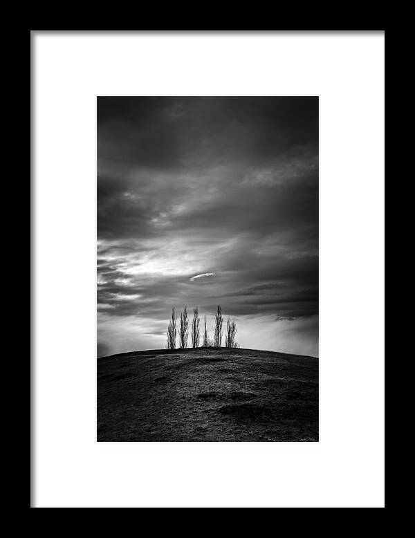 Trees Framed Print featuring the photograph Standing Up by Sandra Parlow