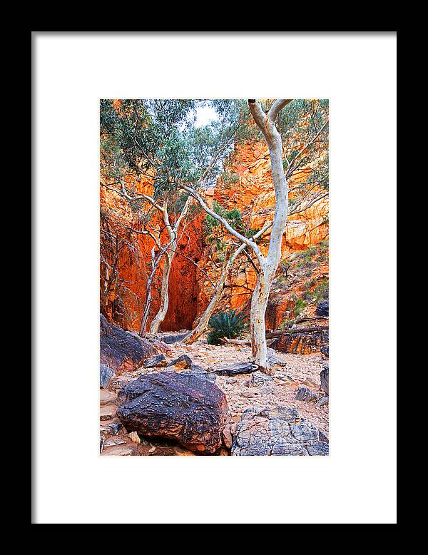 Stanley Chasm Outback Central Australia Landscape Northern Territory Australian West Mcdonnell Ranges Framed Print featuring the photograph Stanley Chasm by Bill Robinson