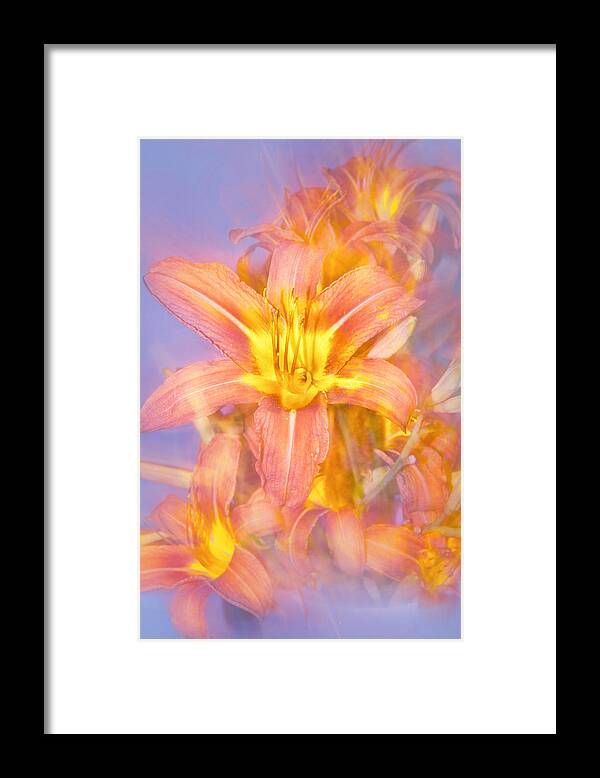 Starburst Lily Framed Print featuring the photograph Starburst Lily by Mary Almond