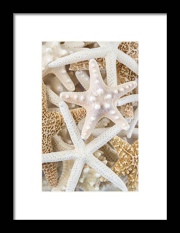 Above Framed Print featuring the photograph Starfish 2 by Leigh Anne Meeks