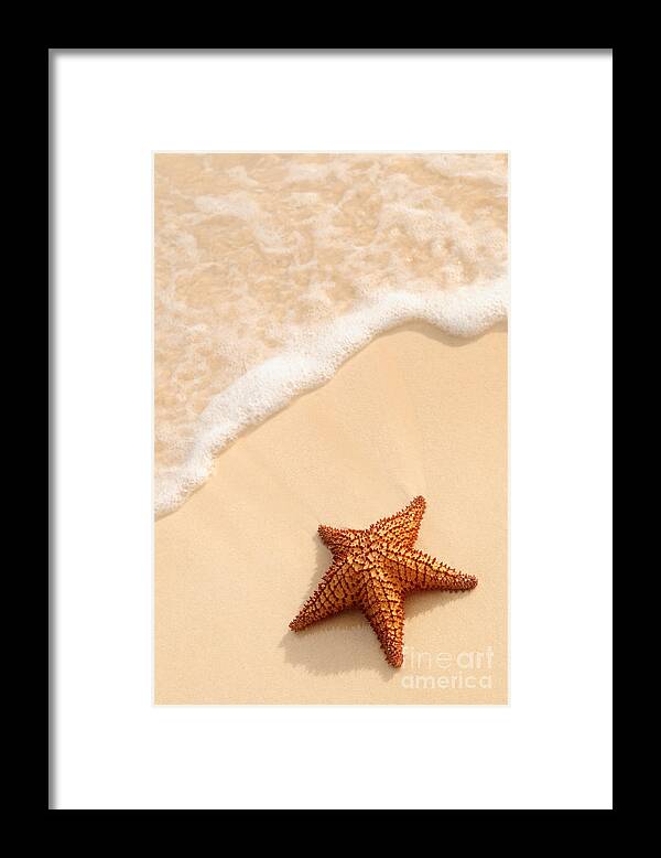 Starfish Framed Print featuring the photograph Starfish and ocean wave by Elena Elisseeva
