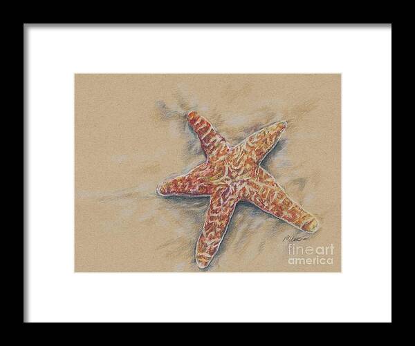 Starfish Framed Print featuring the drawing Starfish study by Meagan Visser