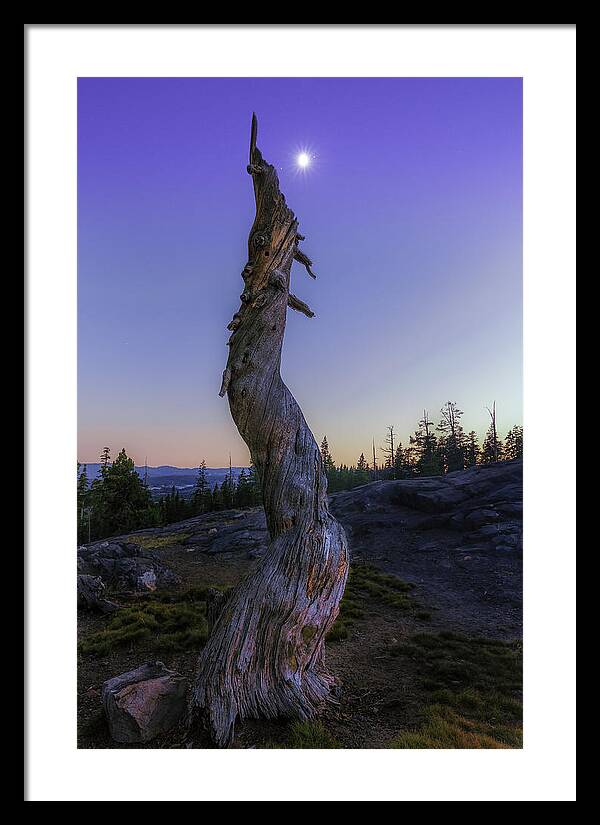 Lake Alpine Framed Print featuring the photograph Starry Moon by Don Hoekwater Photography
