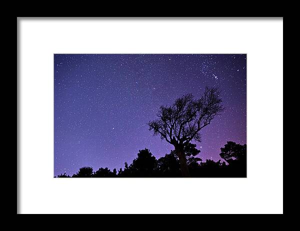 Scenics Framed Print featuring the photograph Starry Sky In Forest by Gm Stock Films