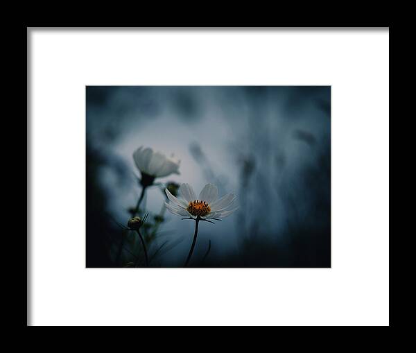 Stay With Me A While Framed Print featuring the photograph Stay With Me a While by Yuka Kato