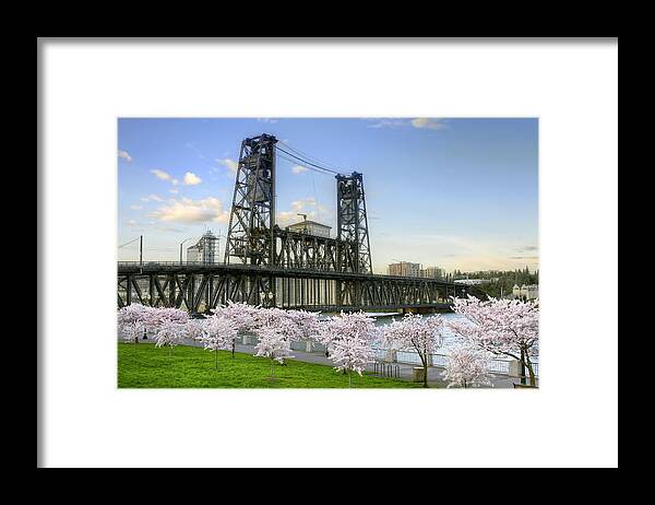 Steel Framed Print featuring the photograph Steel Bridge and Cherry Blossom Trees in Portland Oregon by David Gn
