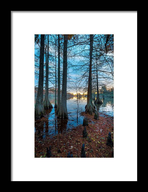 Steinhagen Reservoir Framed Print featuring the photograph Steinhagen Reservoir Vertical by David Morefield