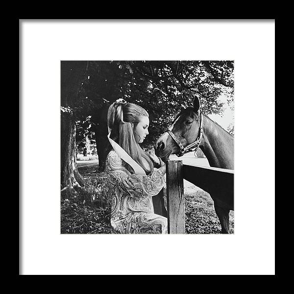 Society Framed Print featuring the photograph Stella Astor With A Horse by Henry Clarke