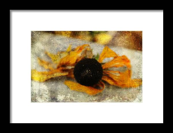 Sunflower Framed Print featuring the photograph Still Beautiful by Terry Rowe