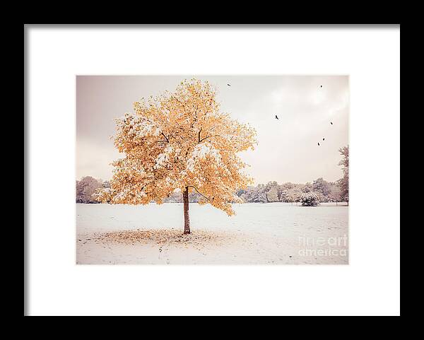Autumn Framed Print featuring the photograph Still Dressed In Fall by Hannes Cmarits