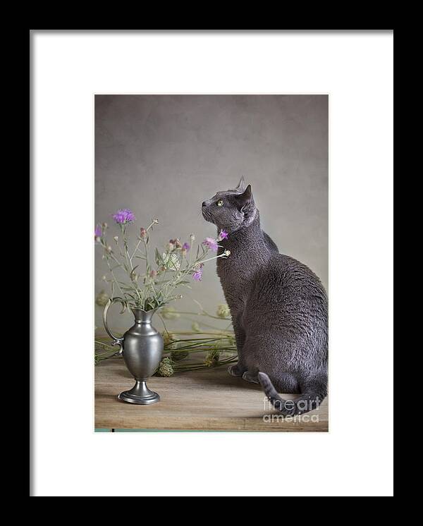 Cat Framed Print featuring the photograph Still Life with Cat by Nailia Schwarz