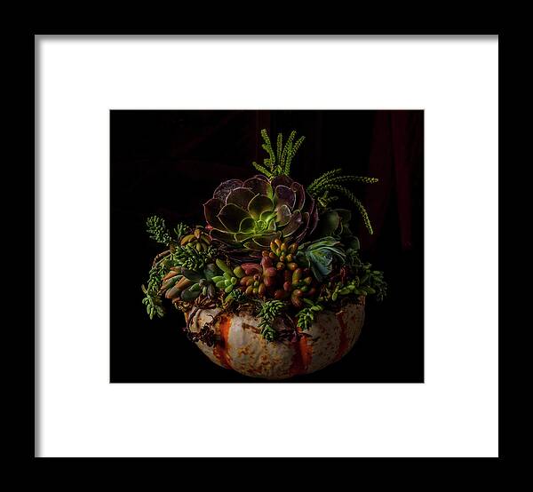 California Framed Print featuring the photograph Still Life With Pumpkin And Succulents by Bill Gracey