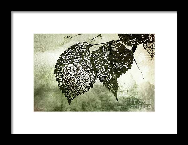 Grunge Framed Print featuring the photograph Still Together by Ellen Cotton