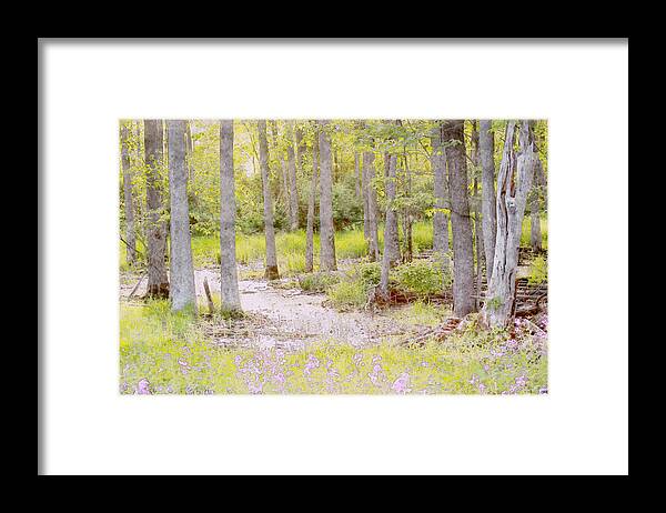 Landscape Framed Print featuring the photograph Still Water by David Stasiak