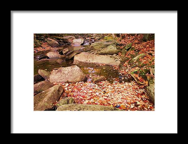 Champlain Framed Print featuring the photograph Stone Brook II by R B Harper