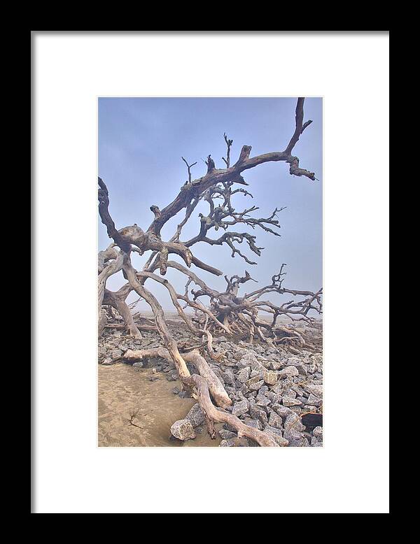 11405 Framed Print featuring the photograph Stones and Driftwood on Jekyll by Gordon Elwell