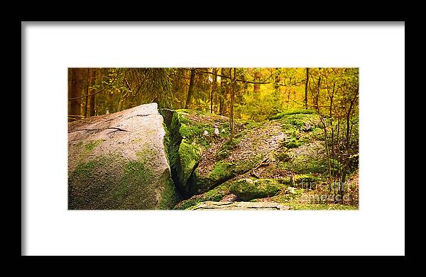 Forest Framed Print featuring the photograph Stony Woods panoramic by Lutz Baar
