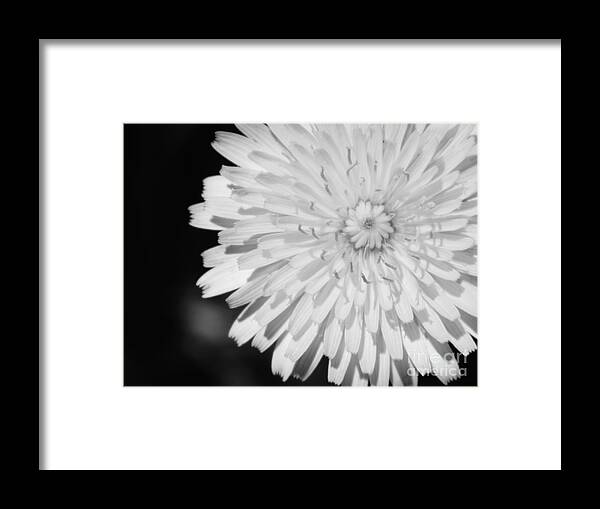 Flower Framed Print featuring the photograph Stop staring at me by Andrea Anderegg