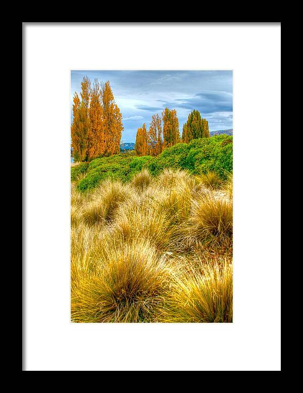 Tussock Framed Print featuring the photograph Storm approaches by Jenny Setchell