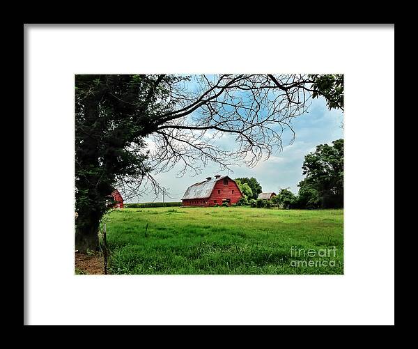 Red Barn Framed Print featuring the photograph Stovall Farms in the Mississippi Delta by T Lowry Wilson