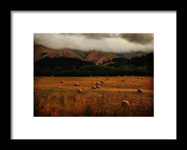 Straw Framed Print featuring the photograph Straw rolls by Andrei SKY